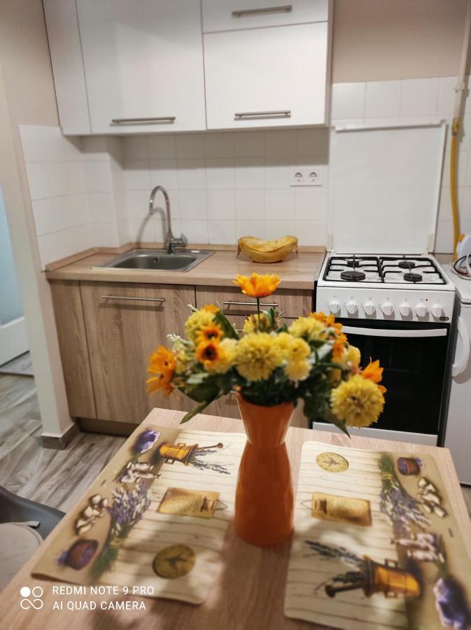 Baross Apartman Kaposvár Esterno foto